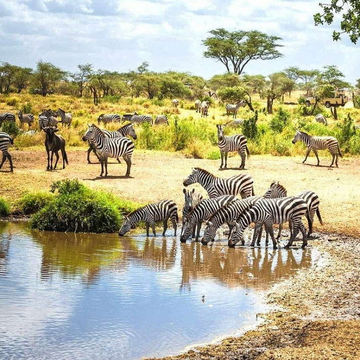 TripTrip-Safari-Parki-Narodowe-Tanzanii-4