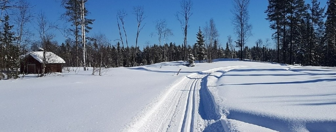 TripTrip-narty-biegowe-Szwecja-Ljungdalen-1