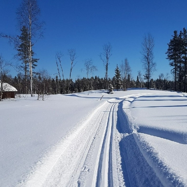 TripTrip-narty-biegowe-Szwecja-Ljungdalen-1