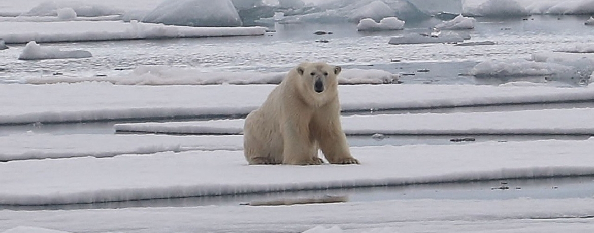 TripTrip-wyprawa-Spitsbergen-Kraniec-Północy-14