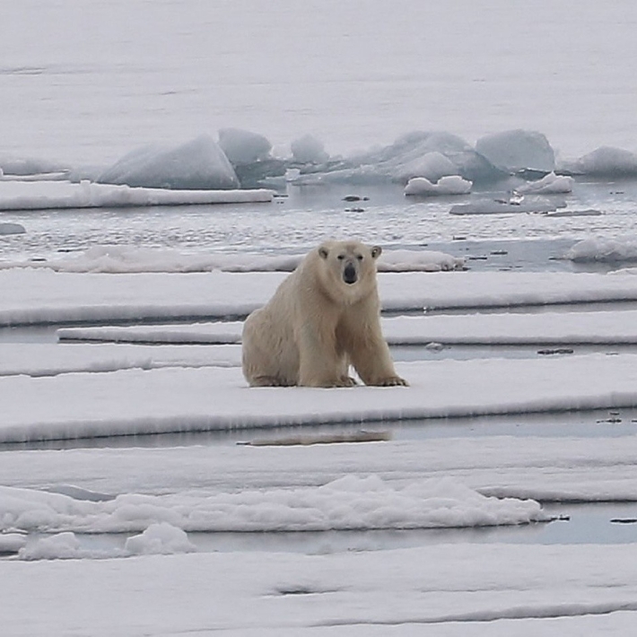 TripTrip-wyprawa-Spitsbergen-Kraniec-Północy-14