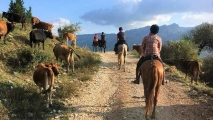 TripTrip-Albania-Szlak-Iliryjski-rajd-konny-1