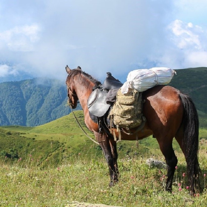 TripTrip-Megrelia-rajd-konny-Gruzja-1