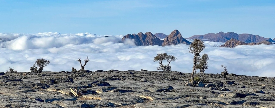 TripTrip-Oman-wioski-oazy-trekkingi-w-Górach-Hadżar-1