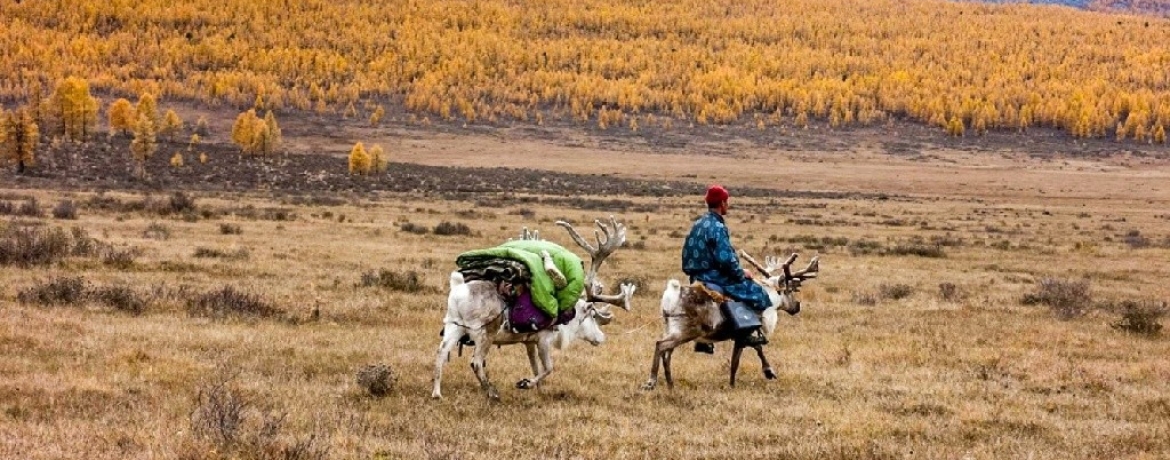 TripTrip-Trekking-tajga-pustynia-Gobi-wyprawa-Mongolia-1