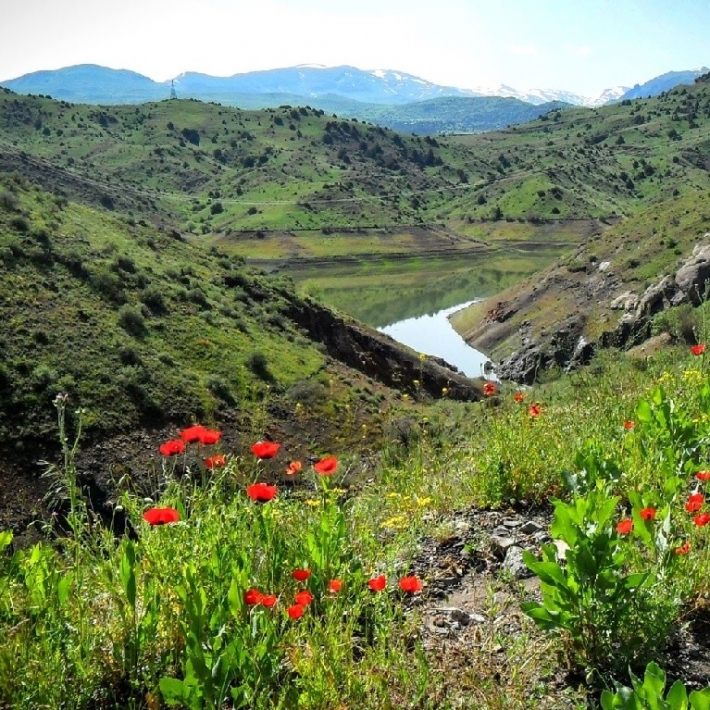 TripTrip-Aragac-trekking-Armenia-3