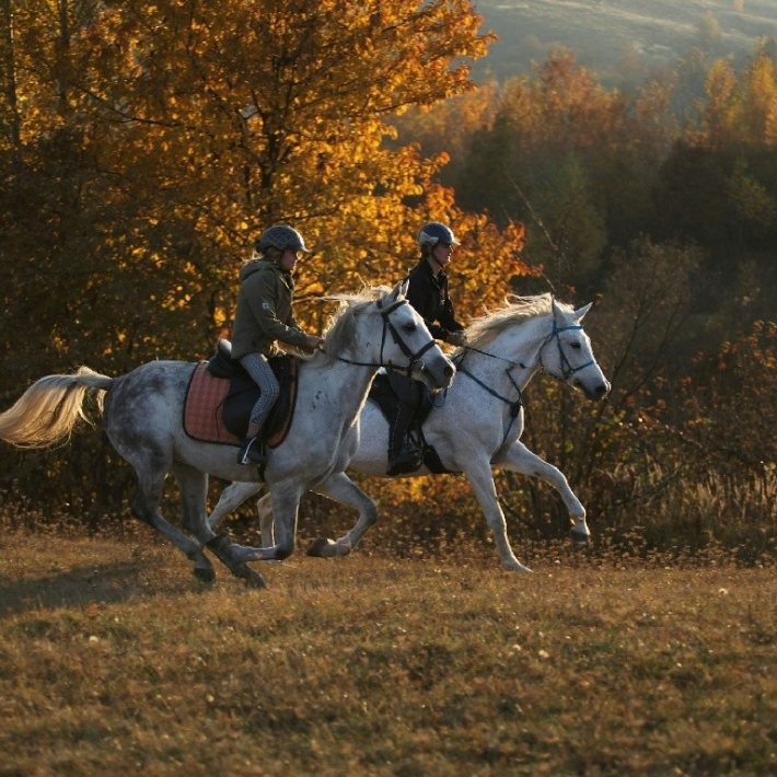 TripTrip-Transylwania-rajd-konny-3